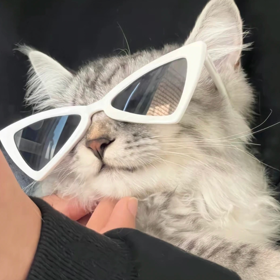 长矛沾屎戳谁谁死