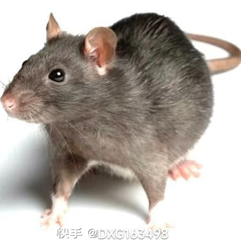 传奇
