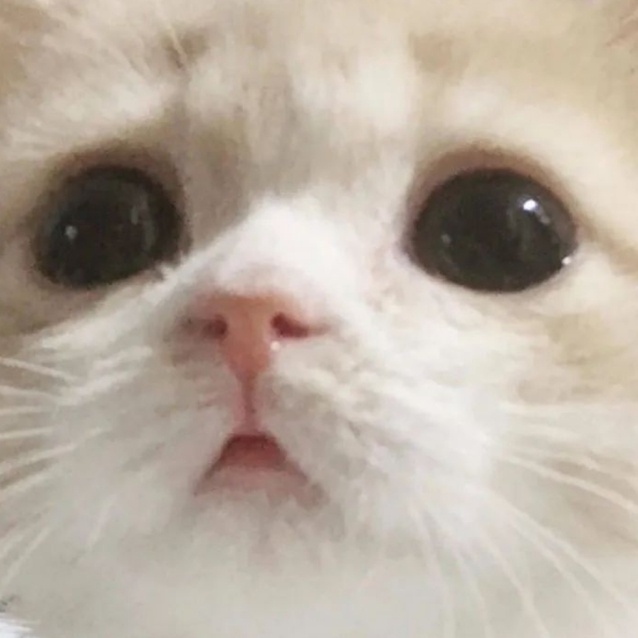 氣水水啦