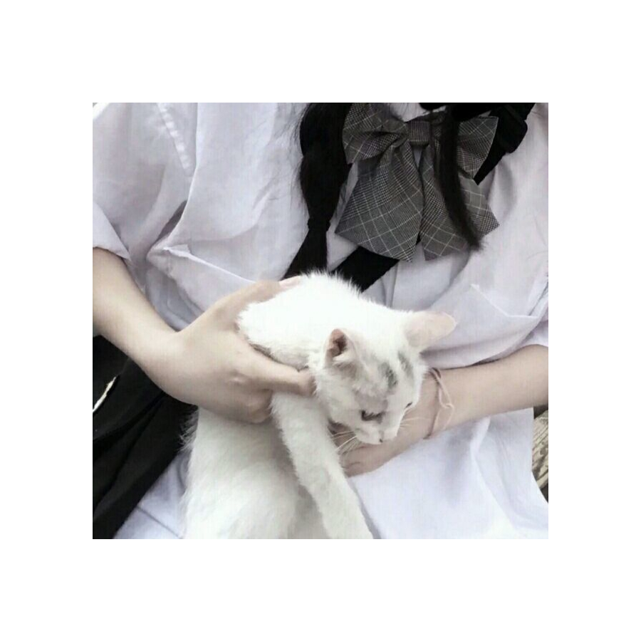 夭