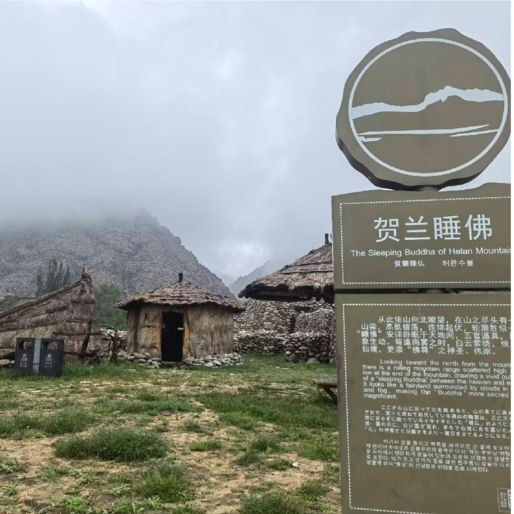 王博