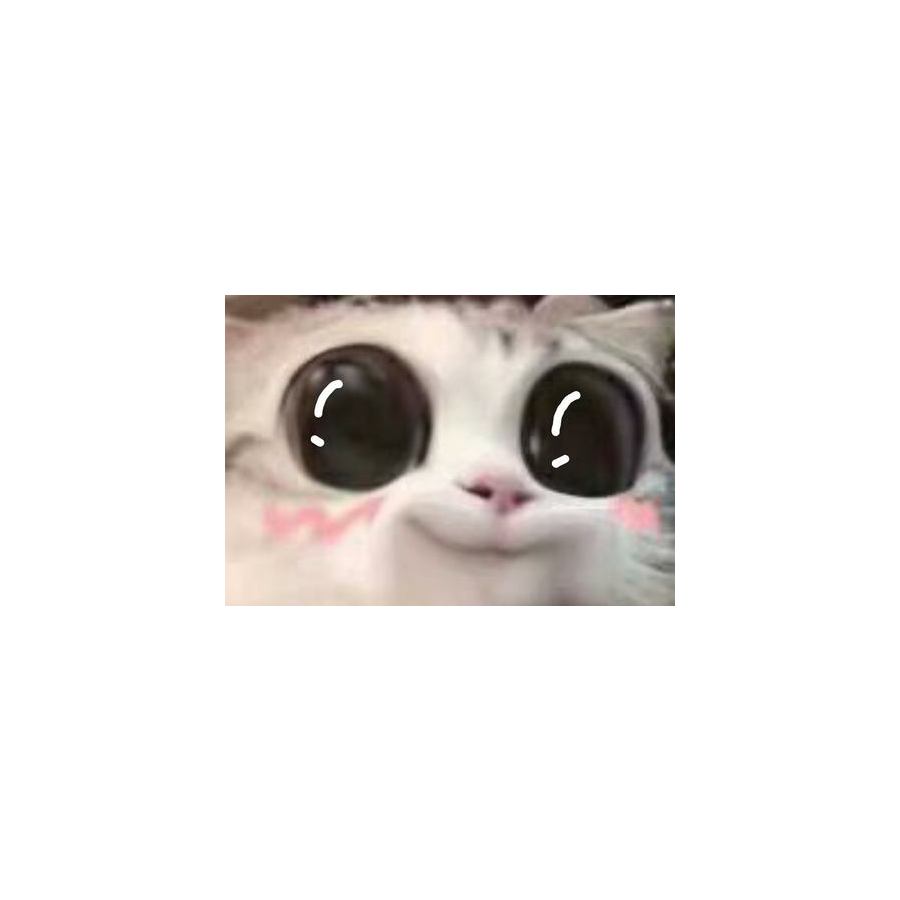 顺其/自然
