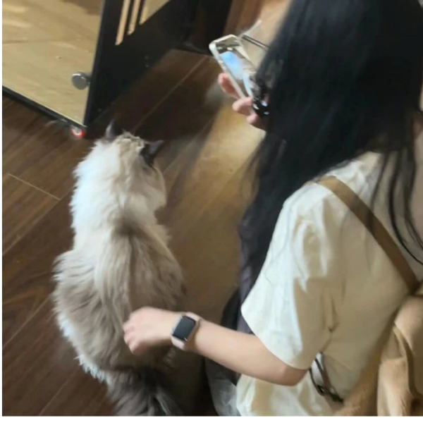 张鱼