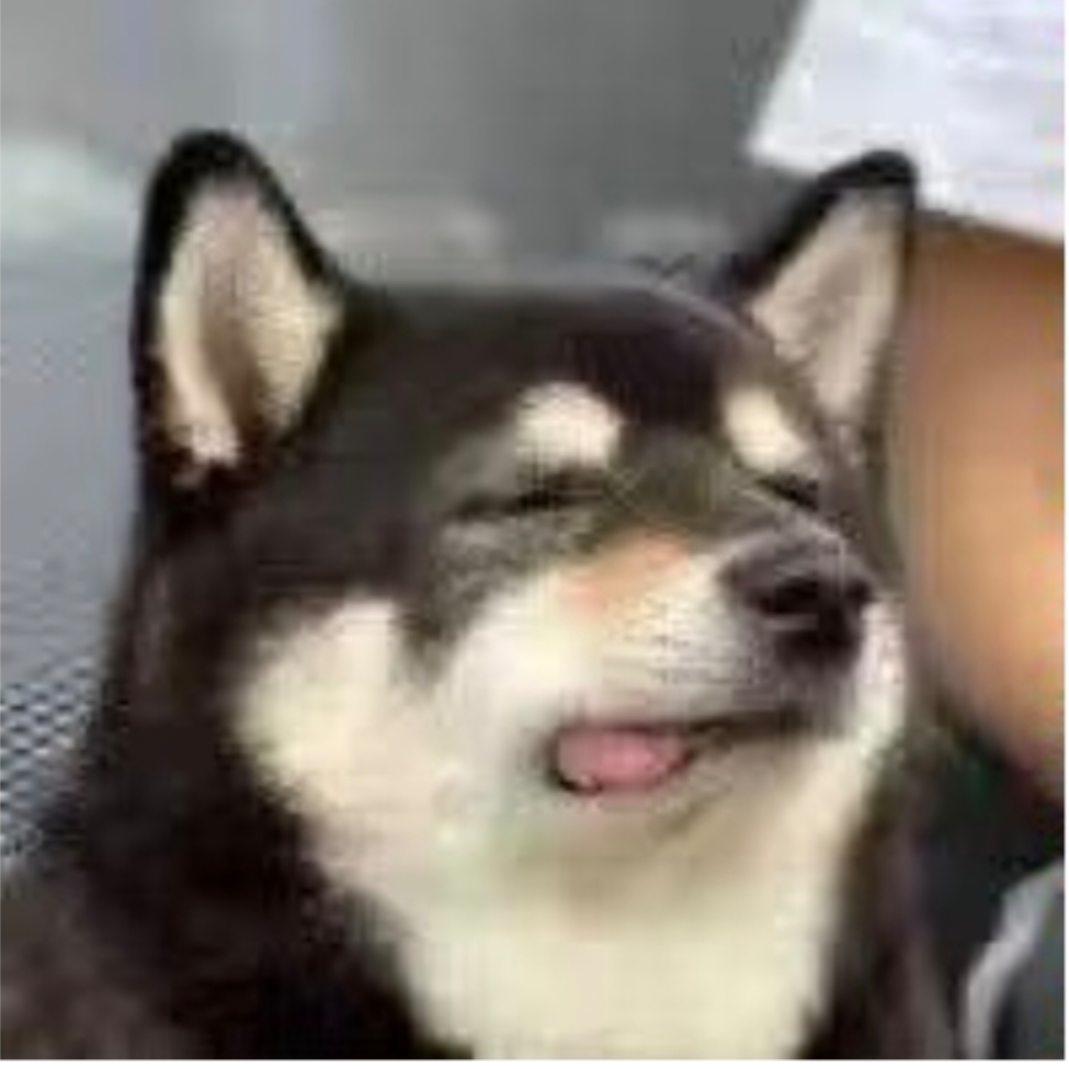 雨メ滴ǒ