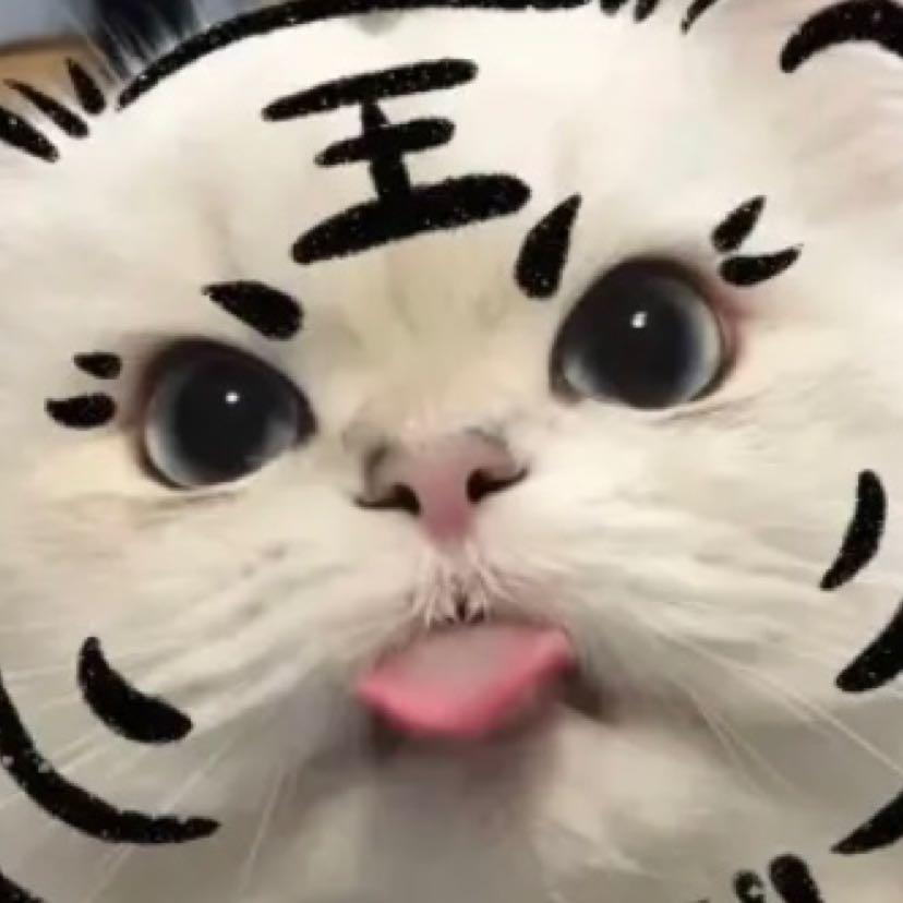 耗吱吱