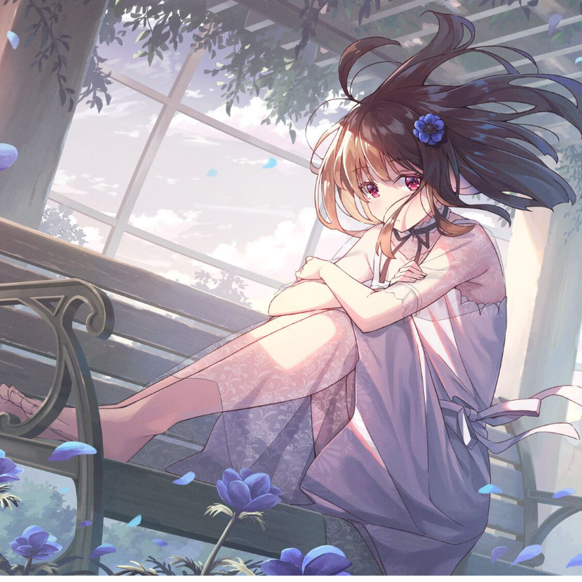 于青璇