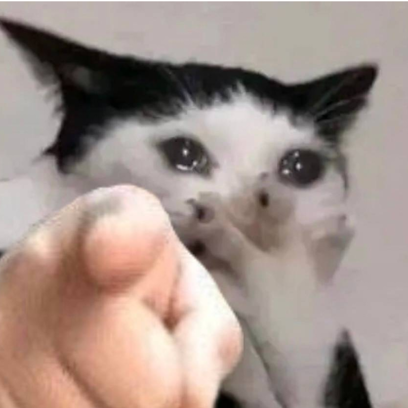 极栎