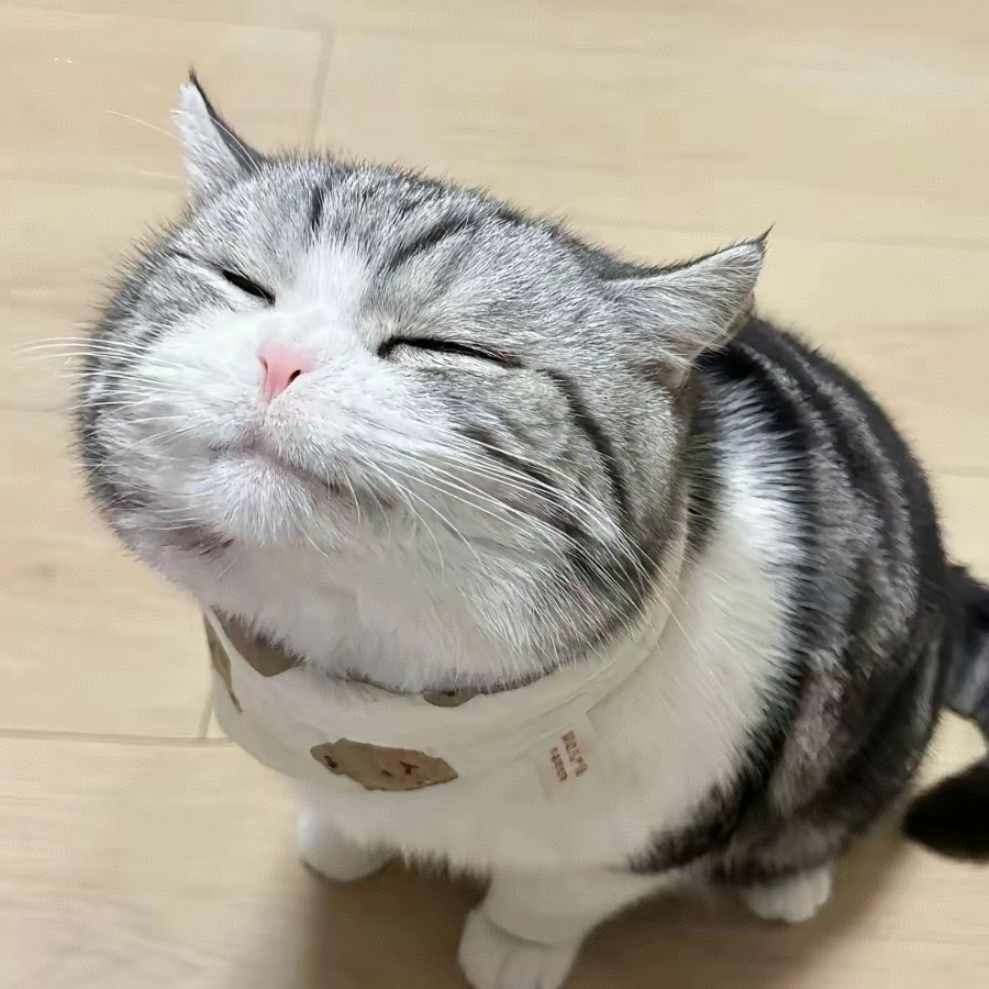 兰兰蓝