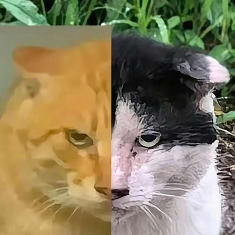 睡千年