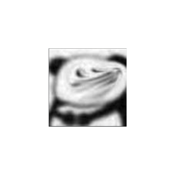 念轻