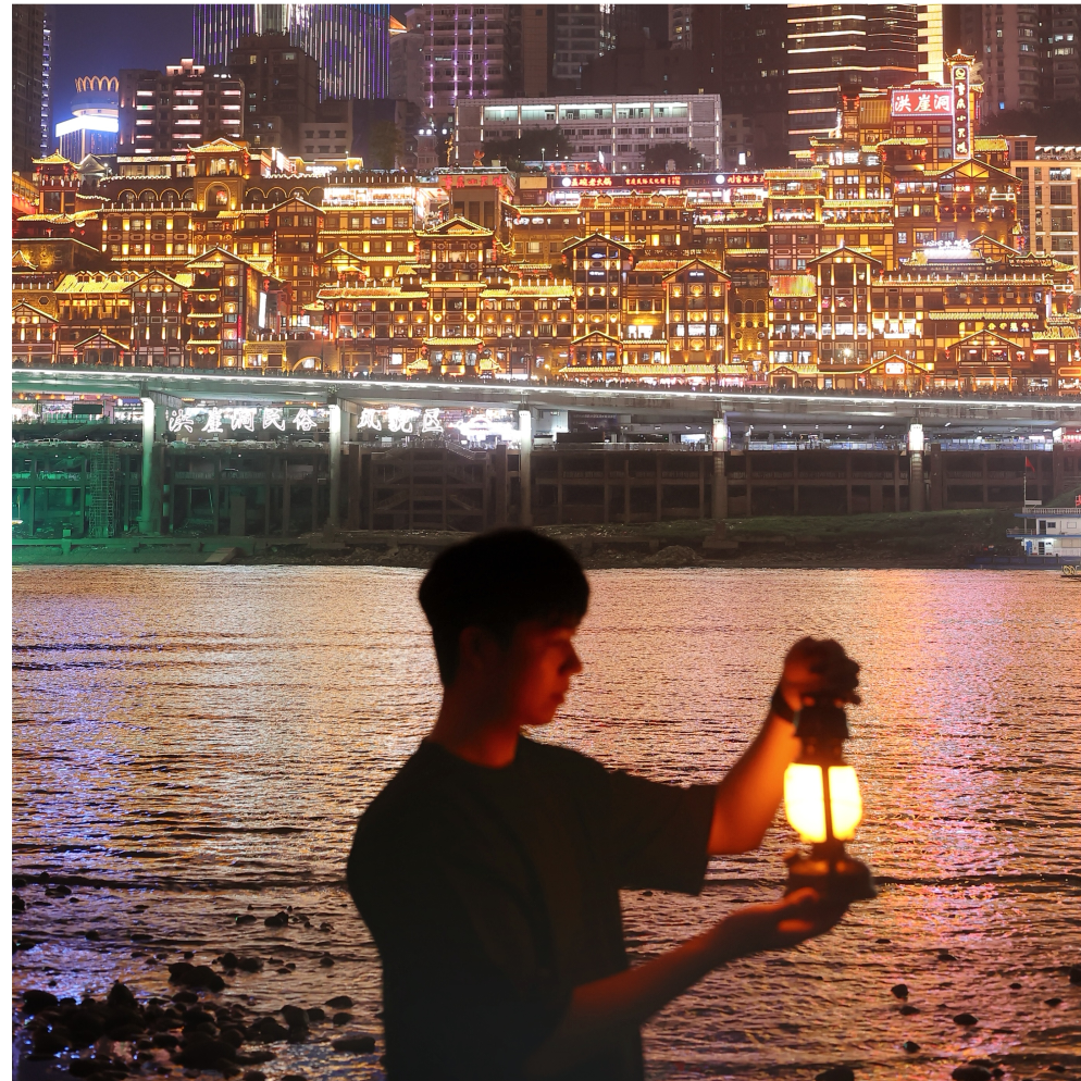 揽世间芳华