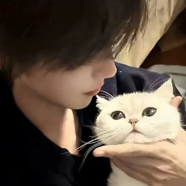 田i的渝^