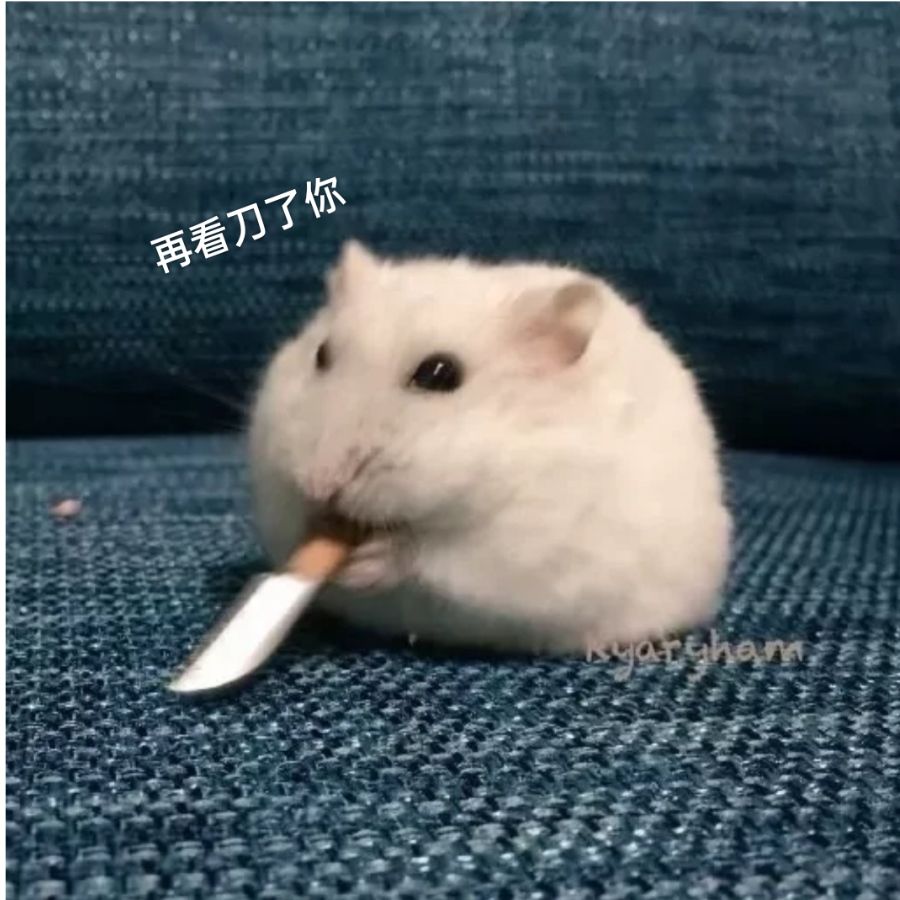 又是小耗子呀