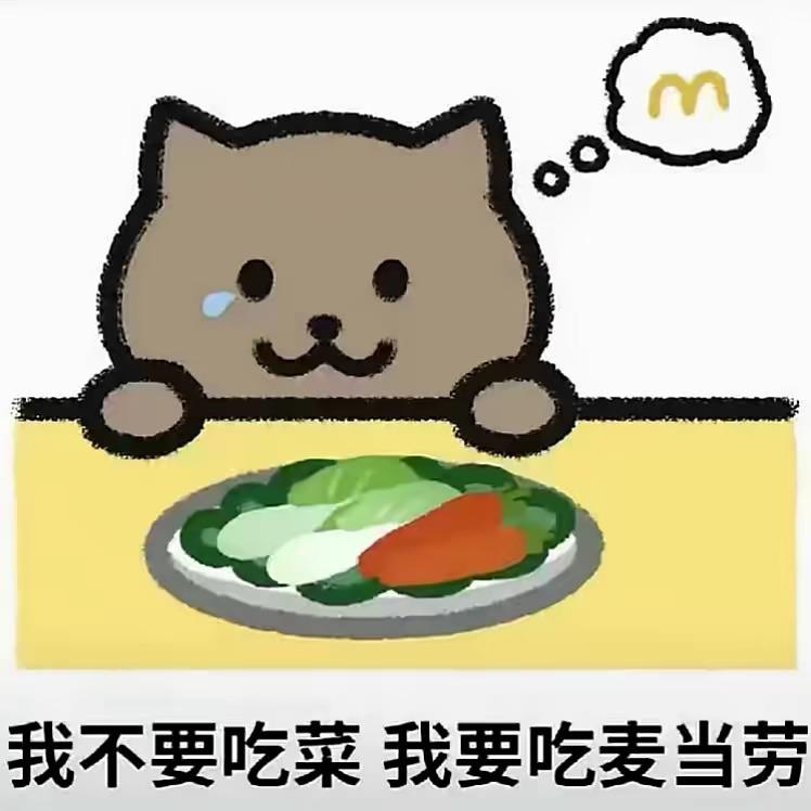 胖猫走好