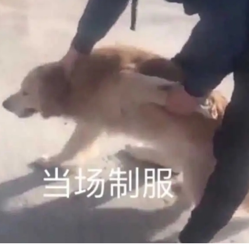嘿嘿嘿嘿