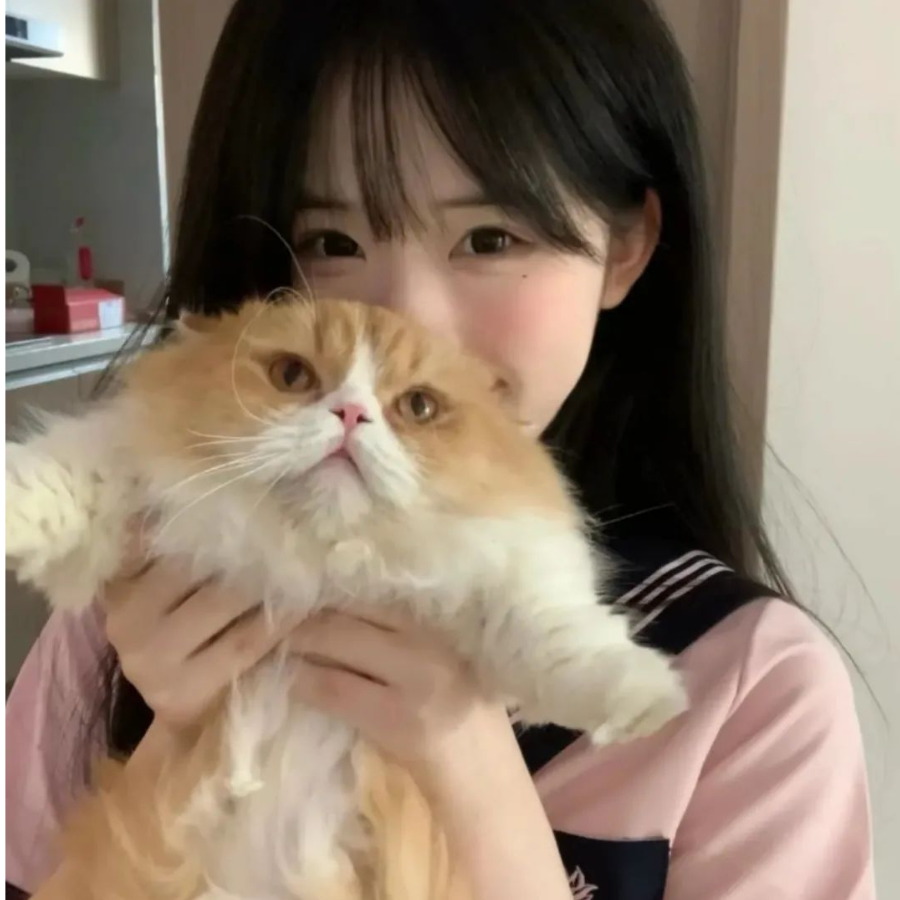 屑狐狸