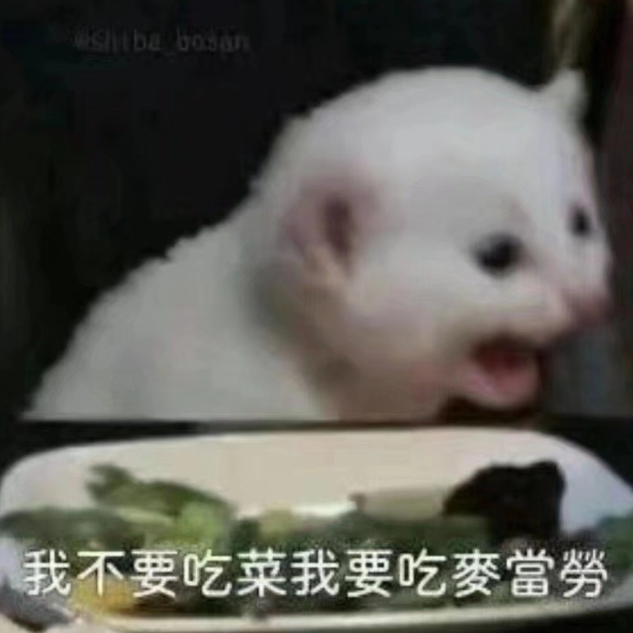 亿棵橙子树