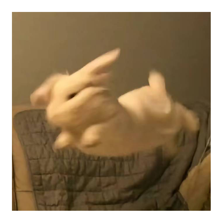 朝暮