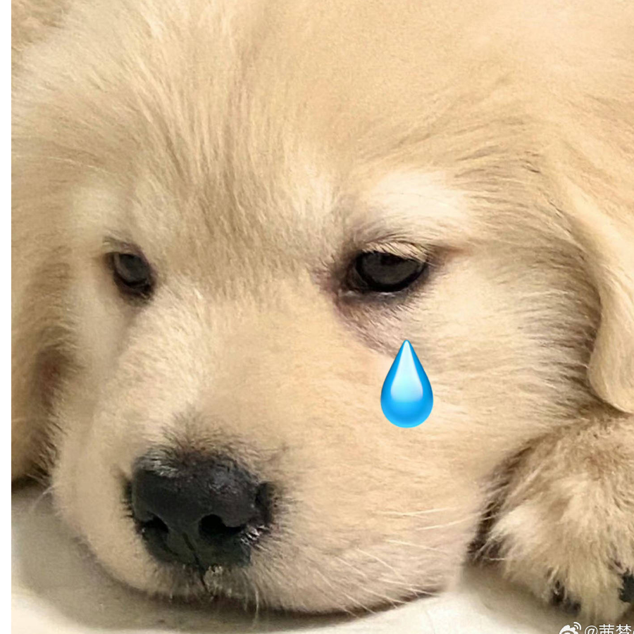 澜。