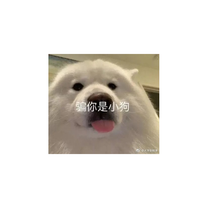 封狼居胥