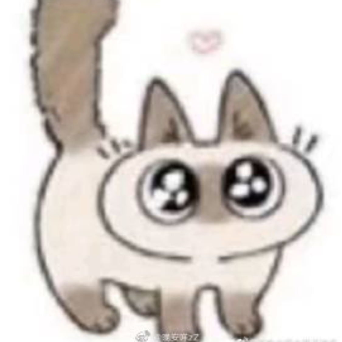 鸽子