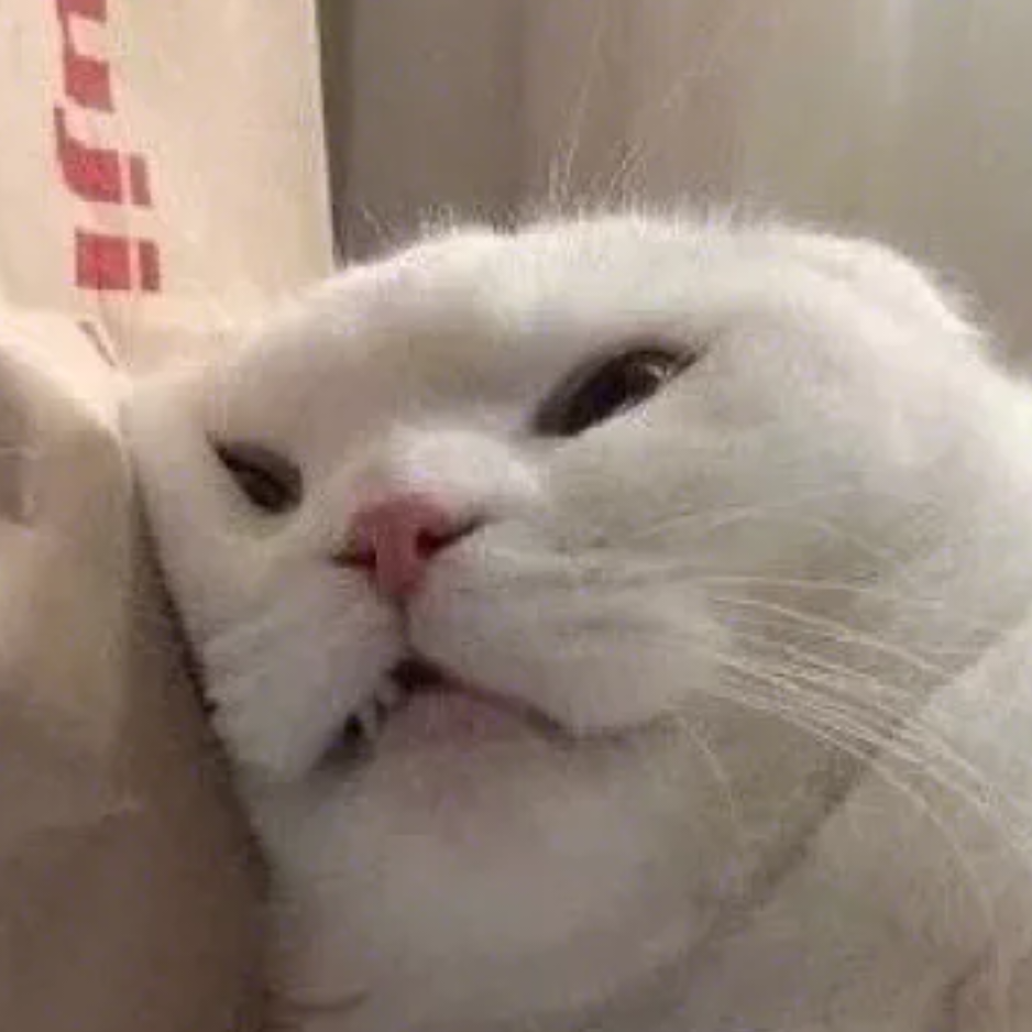 天天运动好心情