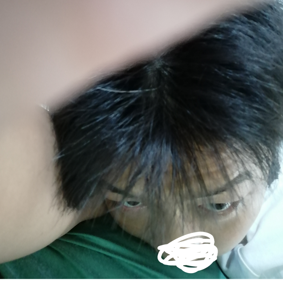 刘晨