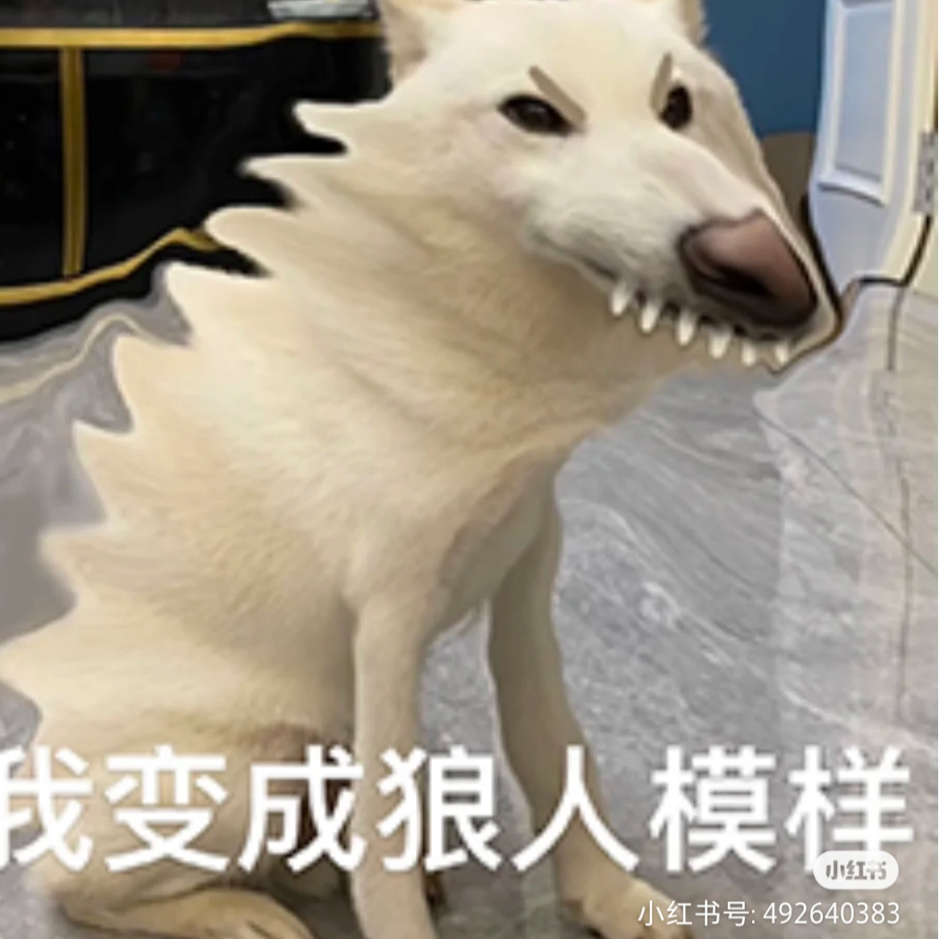 东方舔狗