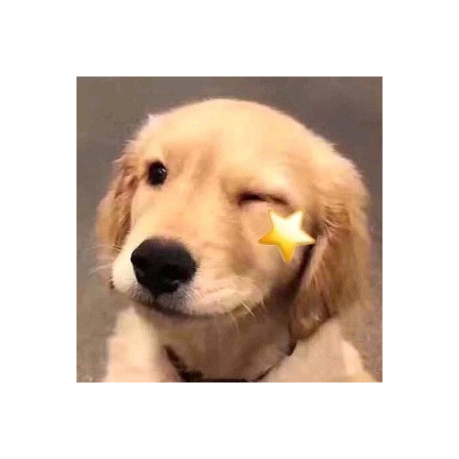 阿狗