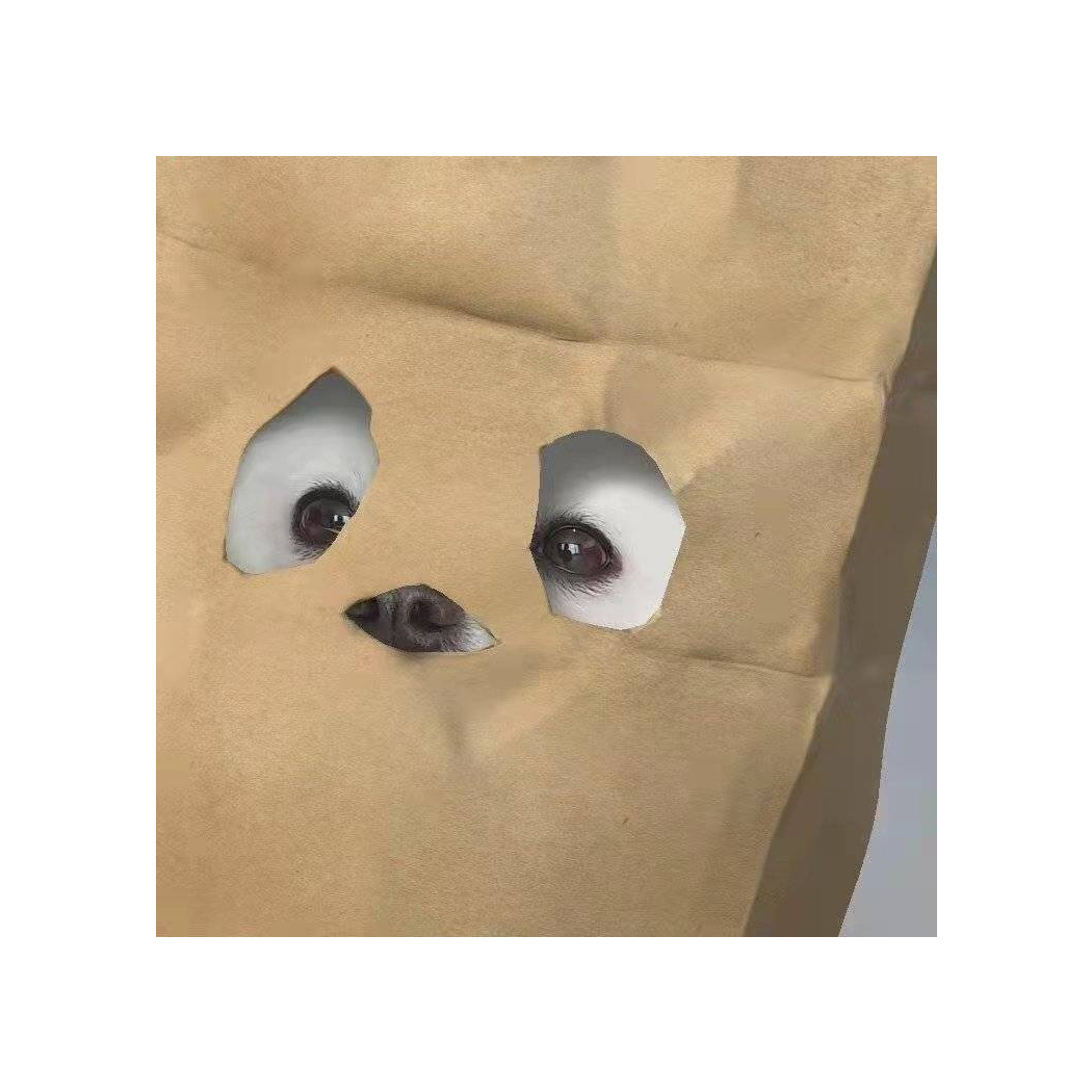 (⚈᷀歪歪歪歪你是sei