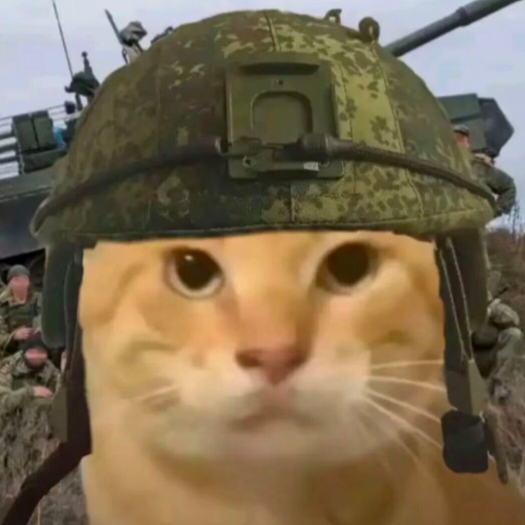 氼.