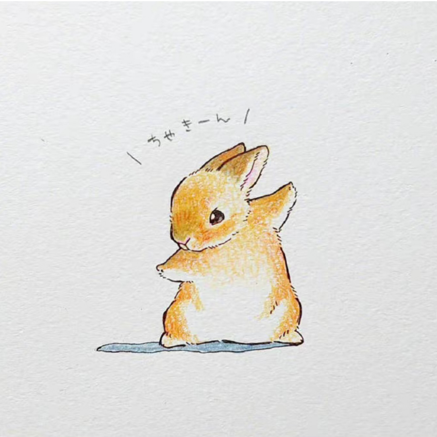 蔻夏