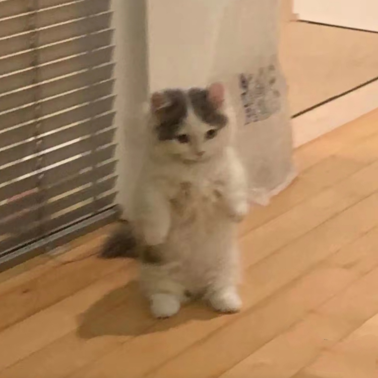 homie