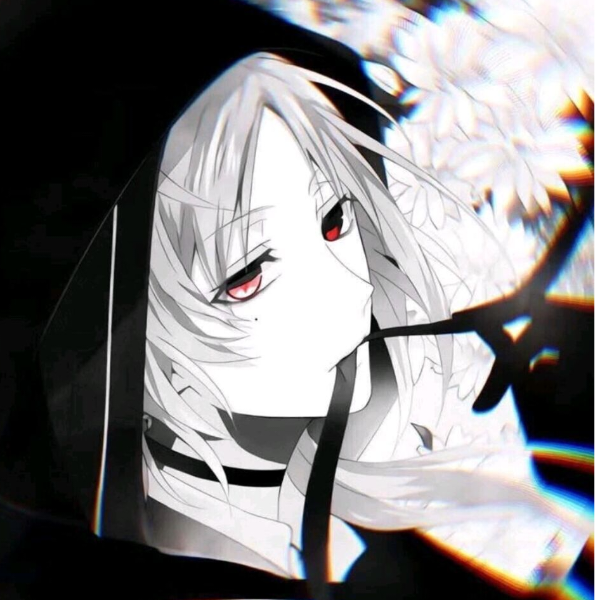 云杪