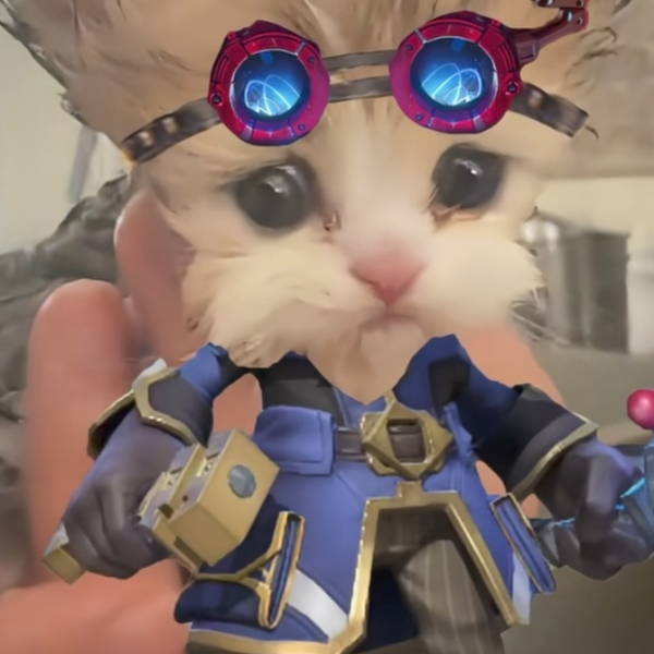 加菲猫