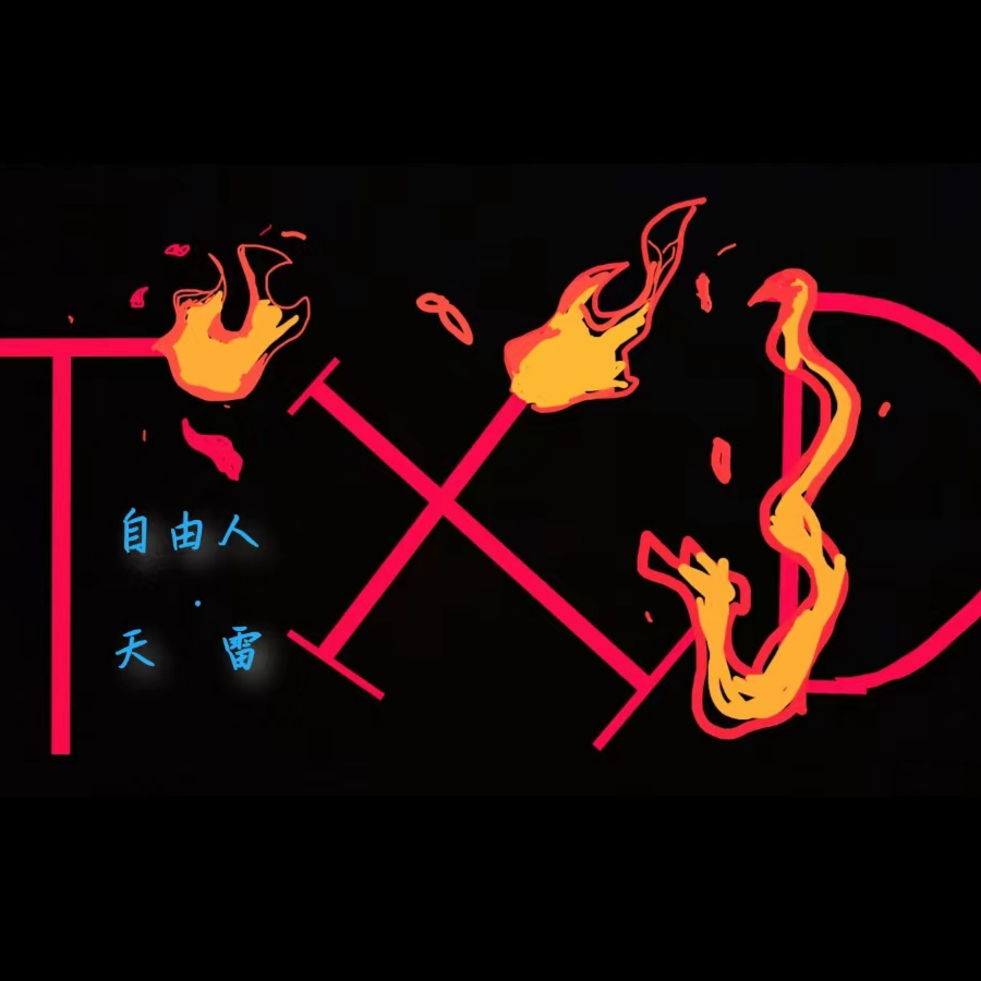 TXD.天雷