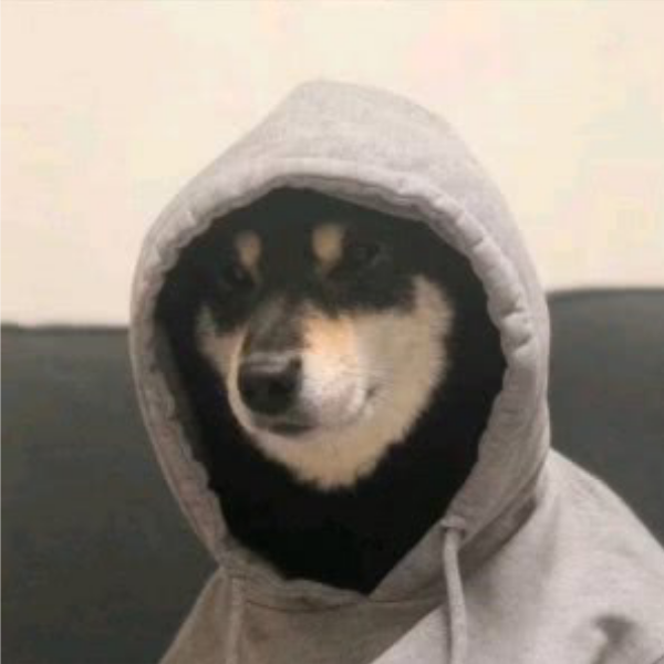 她曾是我的全部