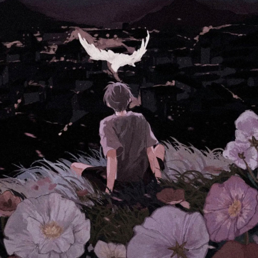 鸣蜩