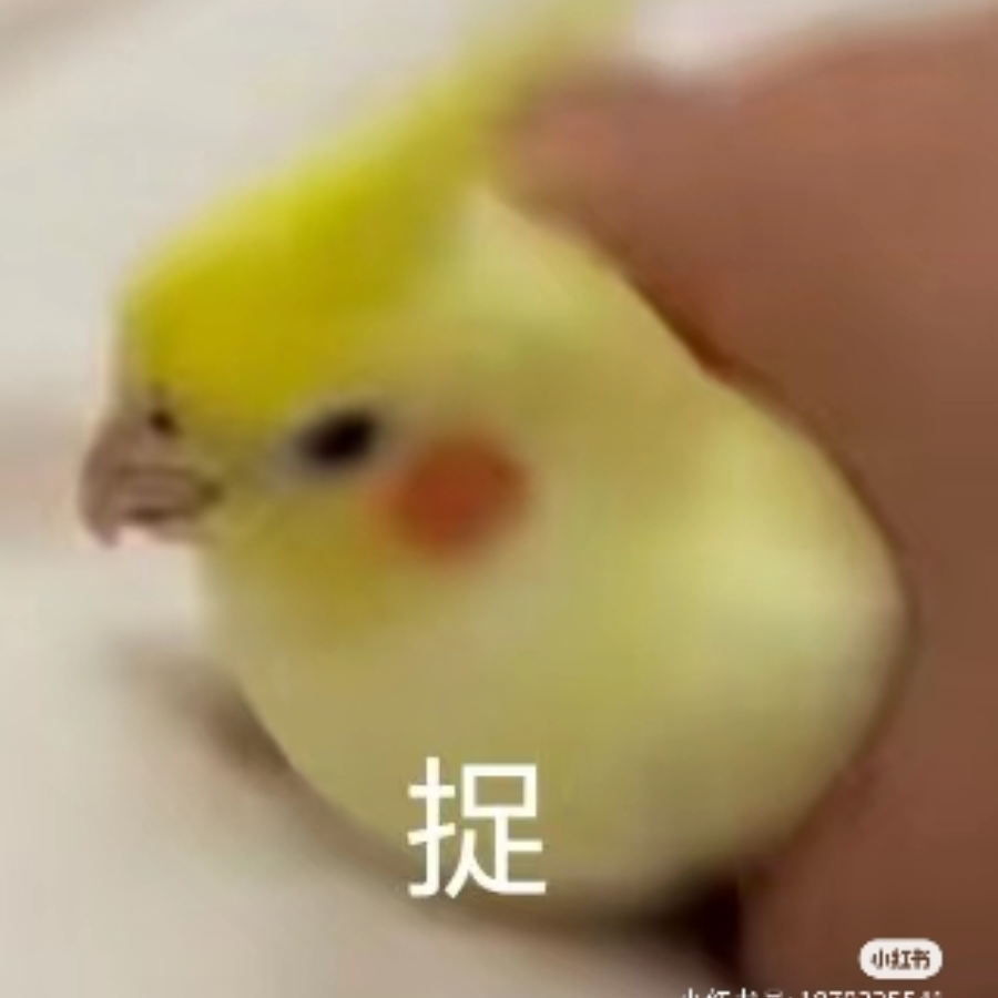 胜者食百合
