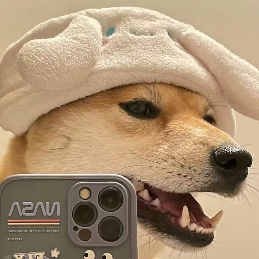 💋安稳