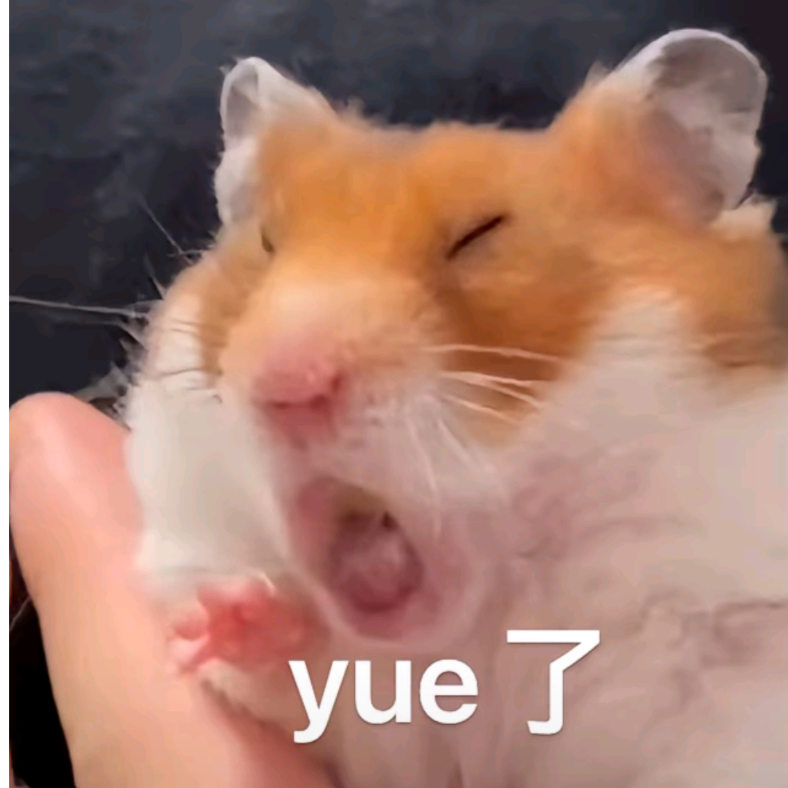 超级鼠饼