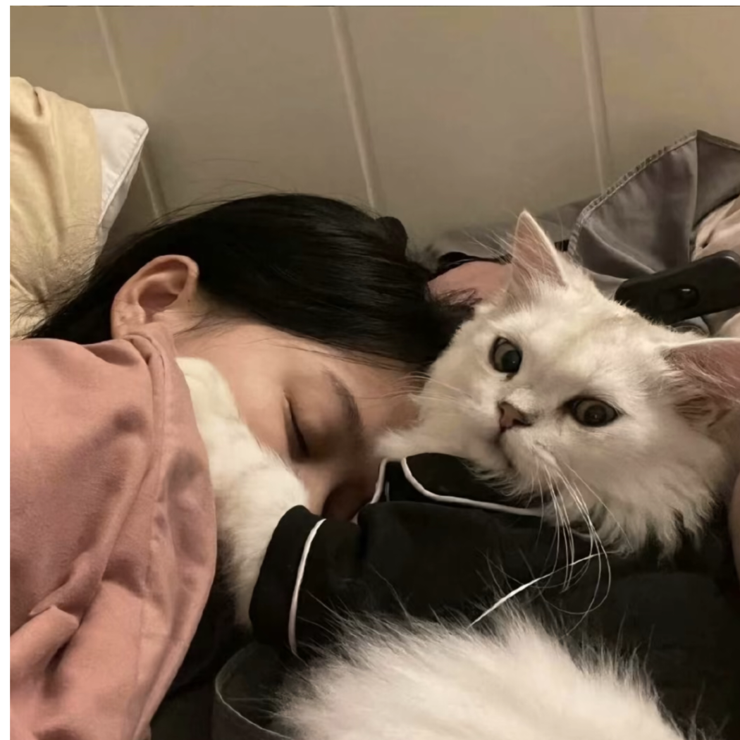 非你不娶