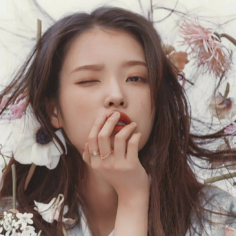 别跟我抢IU
