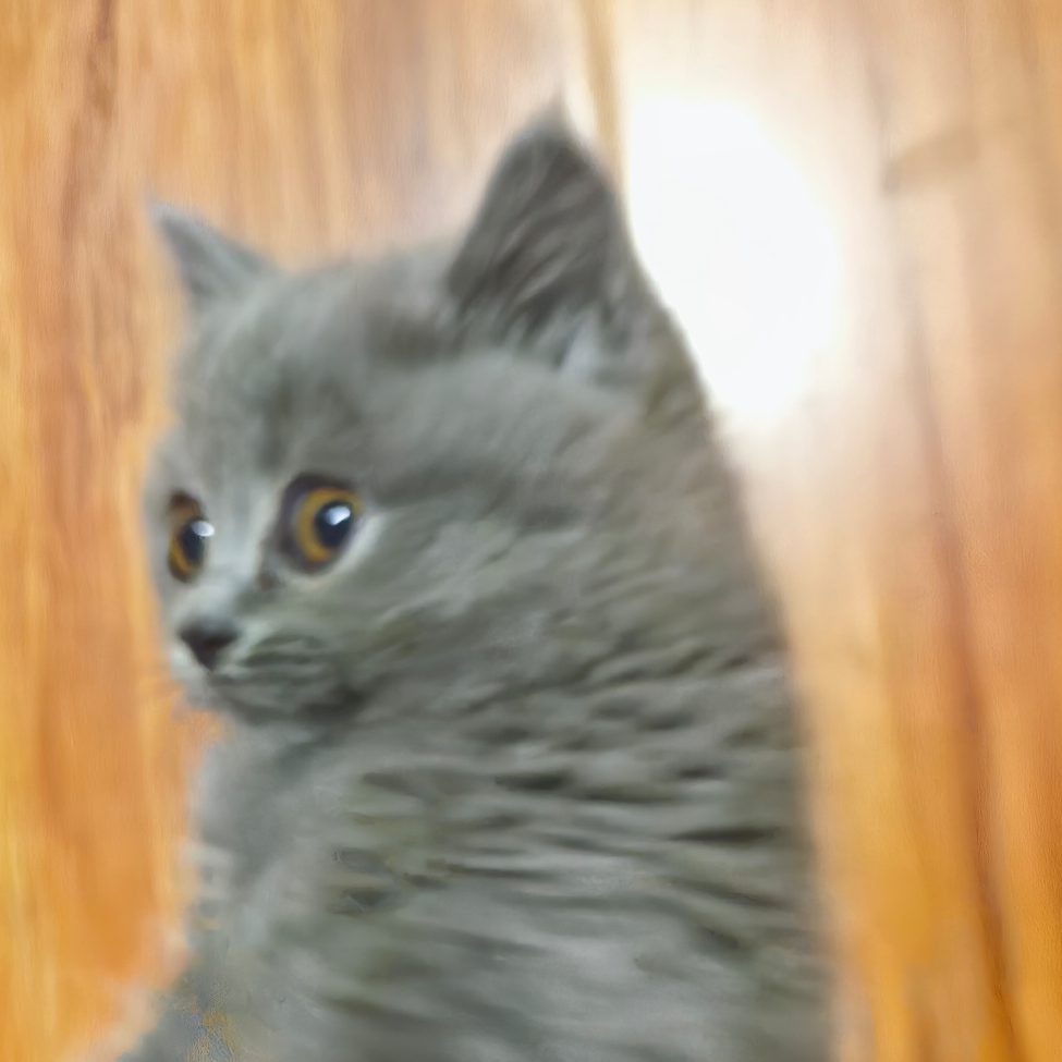 未来