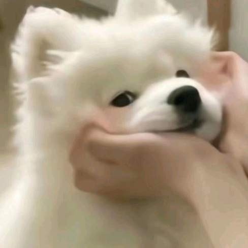 淋雾ᵕ᷄≀ ̠ᵕ᷅