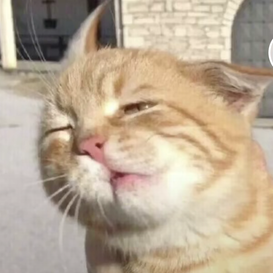 枫皖