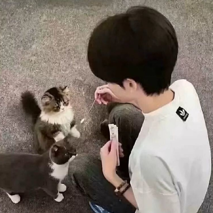 车