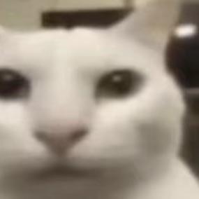 游手好闲锦大人