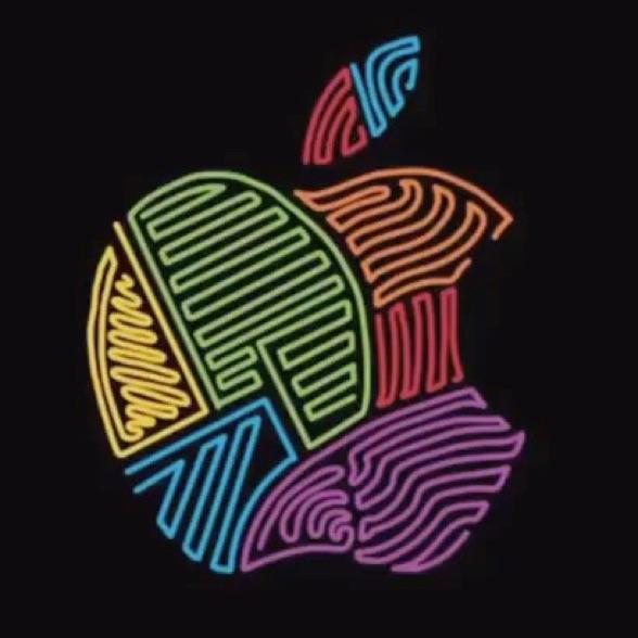 白白白白灬