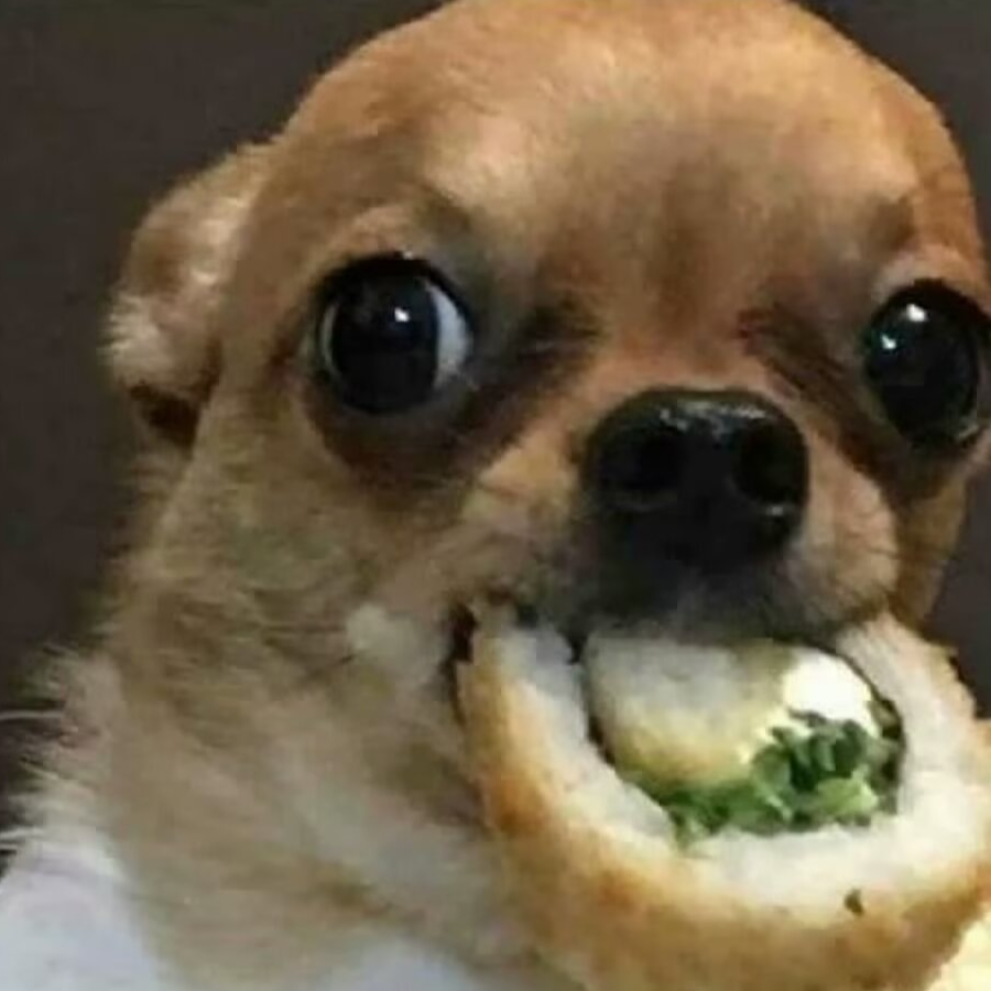 齐梁